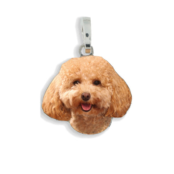 Medaglietta con cane barboncino albicocca in argento 925