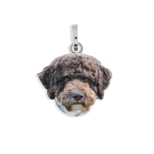 Medaglietta con cane lagotto in argento 925